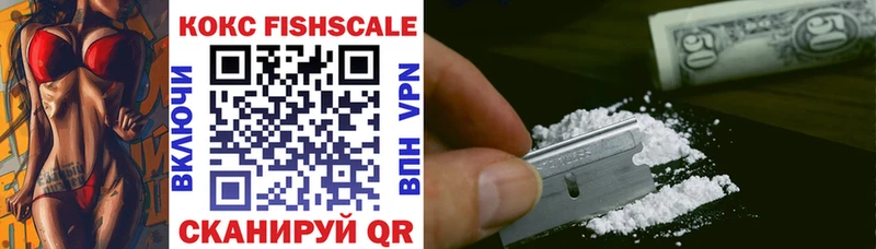 Cocaine FishScale  как найти   Малаховка 