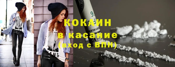 прущие крисы Горняк
