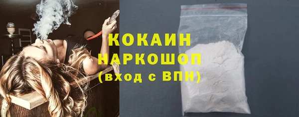 прущие крисы Горняк