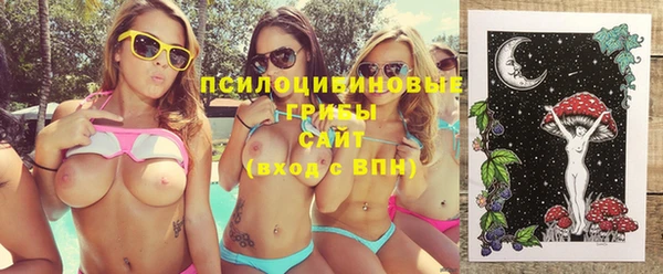 прущие крисы Горняк