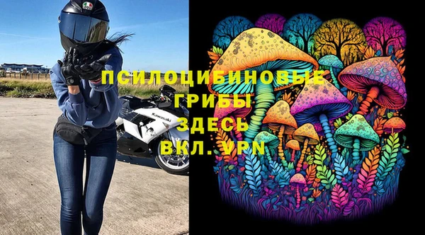 прущие крисы Горняк