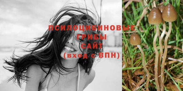 мяу мяу кристалл Горно-Алтайск
