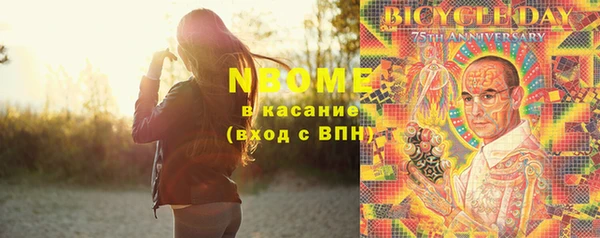 прущие крисы Горняк