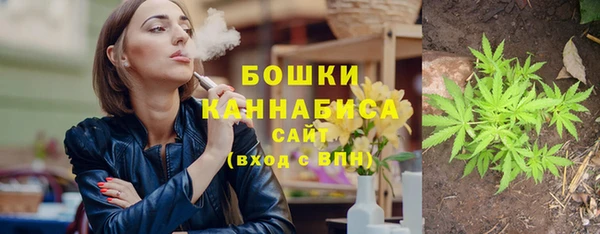 прущие крисы Горняк