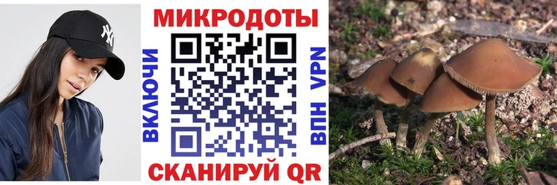 Псилоцибиновые грибы GOLDEN TEACHER Малаховка